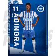 Brighton & Hove Albion FC Adingra 24/25 Headshot Poster