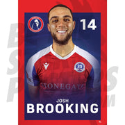 Dorking Wanderers FC Brooking 24/25 Headshot Poster