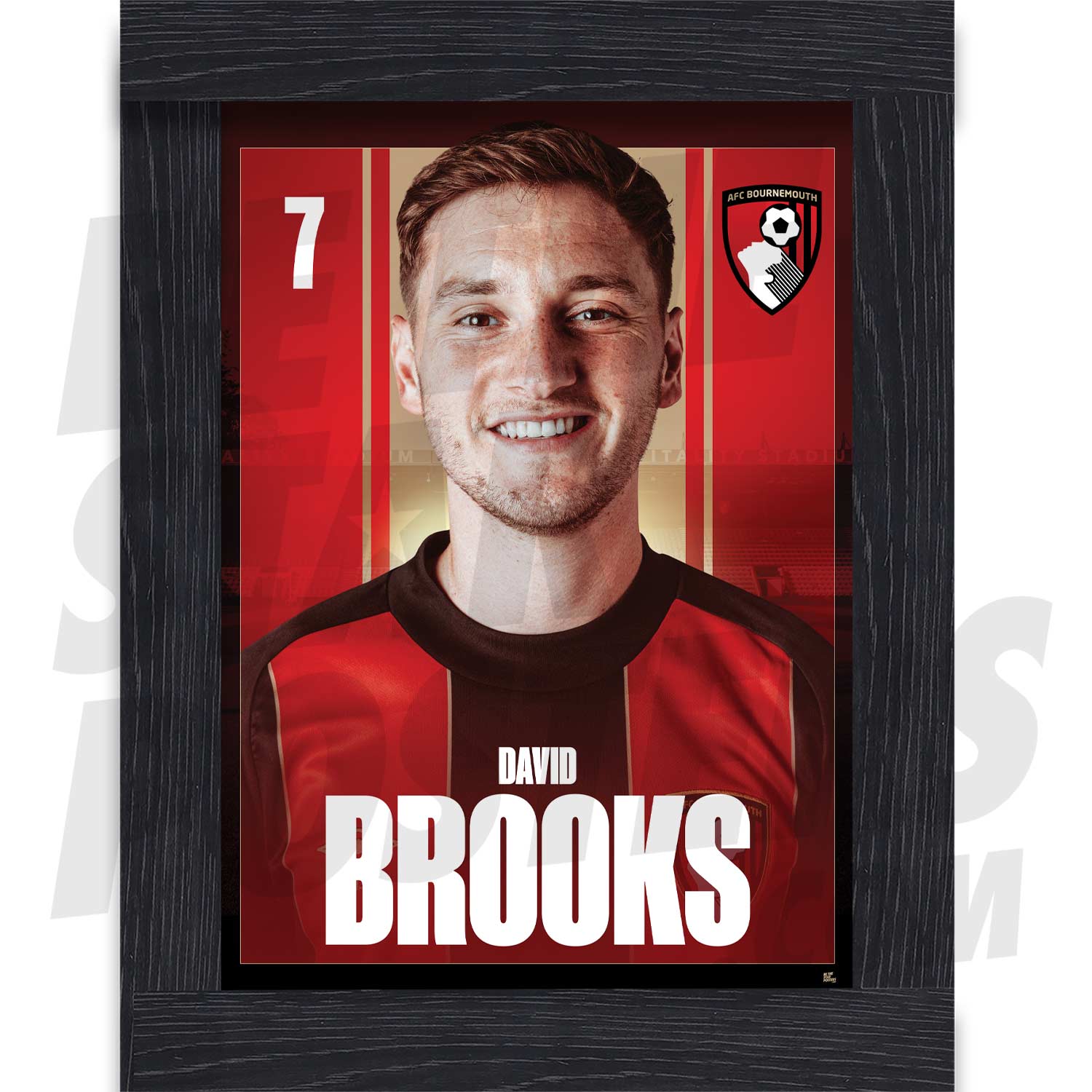 AFC Bournemouth Brooks 24/25 Headshot Poster