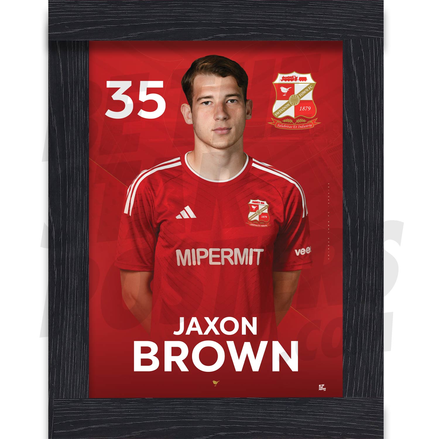 Swindon Town FC Brown 24/25 Headshot Poster