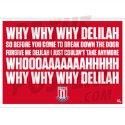 Stoke City FC Chant Poster