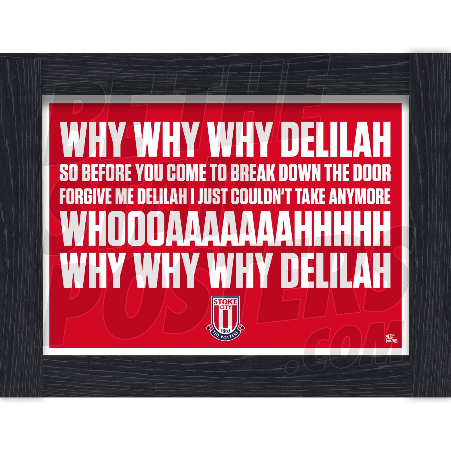 Stoke City FC Chant Poster