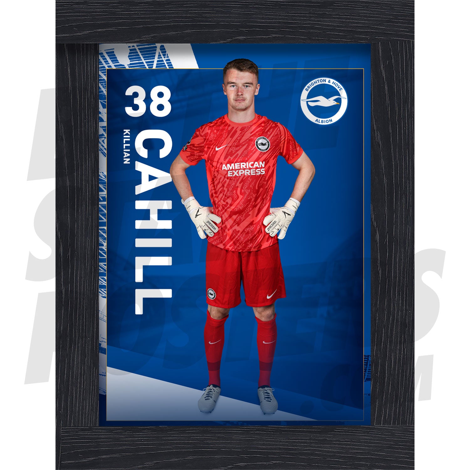 Brighton & Hove Albion FC Cahill 24/25 Headshot Poster