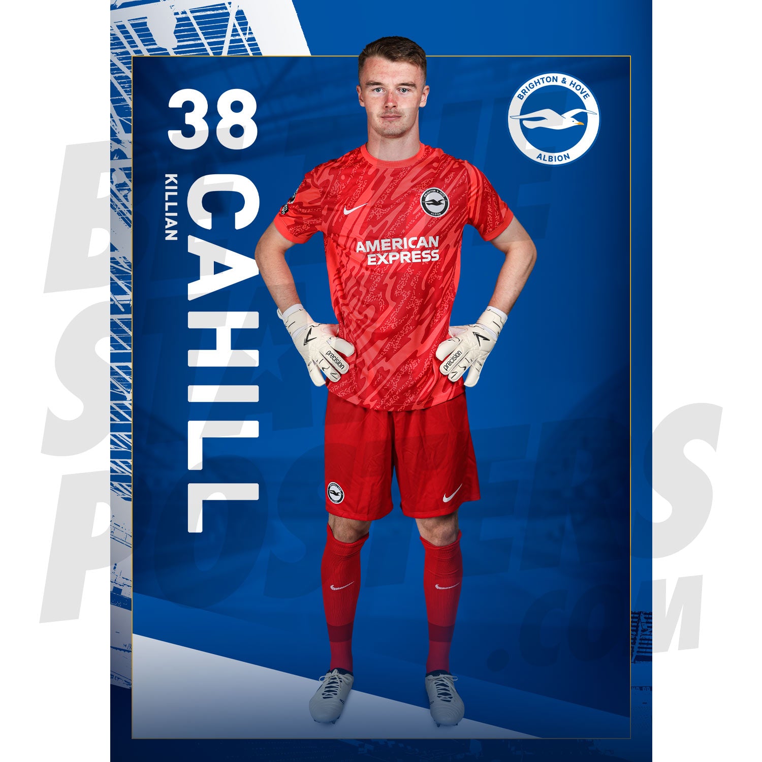 Brighton & Hove Albion FC Cahill 24/25 Headshot Poster