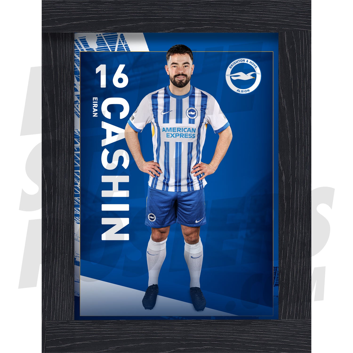 Brighton & Hove Albion FC Cashin 24/25 Headshot Poster