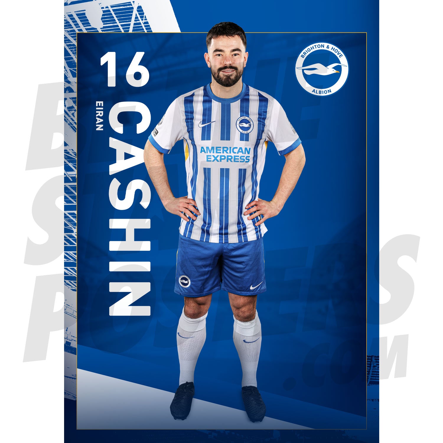 Brighton & Hove Albion FC Cashin 24/25 Headshot Poster