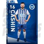 Brighton & Hove Albion FC Cashin 24/25 Headshot Poster