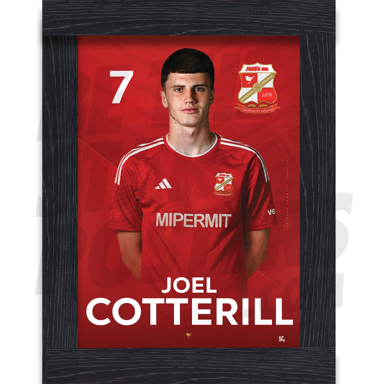 Swindon Town FC Cotterill 24/25 Headshot Poster