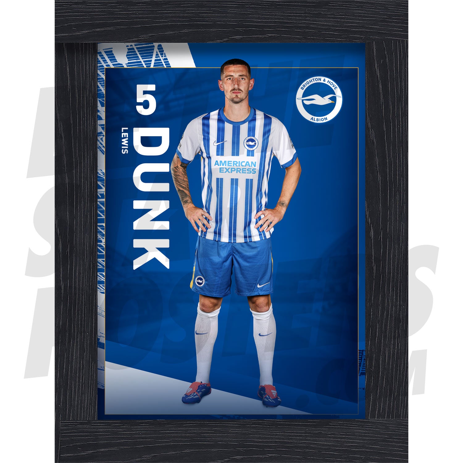 Brighton & Hove Albion FC Dunk 24/25 Headshot Poster