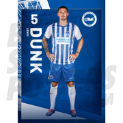 Brighton & Hove Albion FC Dunk 24/25 Headshot Poster