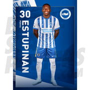 Brighton & Hove Albion FC Estupinan 24/25 Headshot Poster