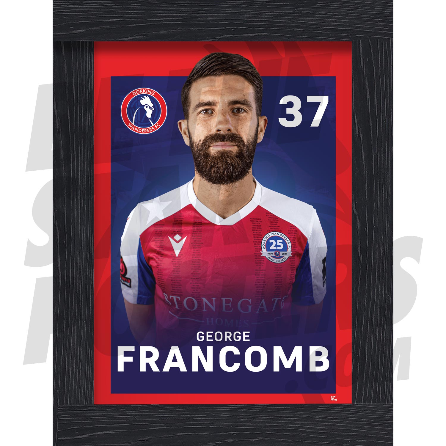 Dorking Wanderers FC Francomb 24/25 Headshot Poster