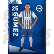 Brighton & Hove Albion FC Gomez 24/25 Headshot Poster