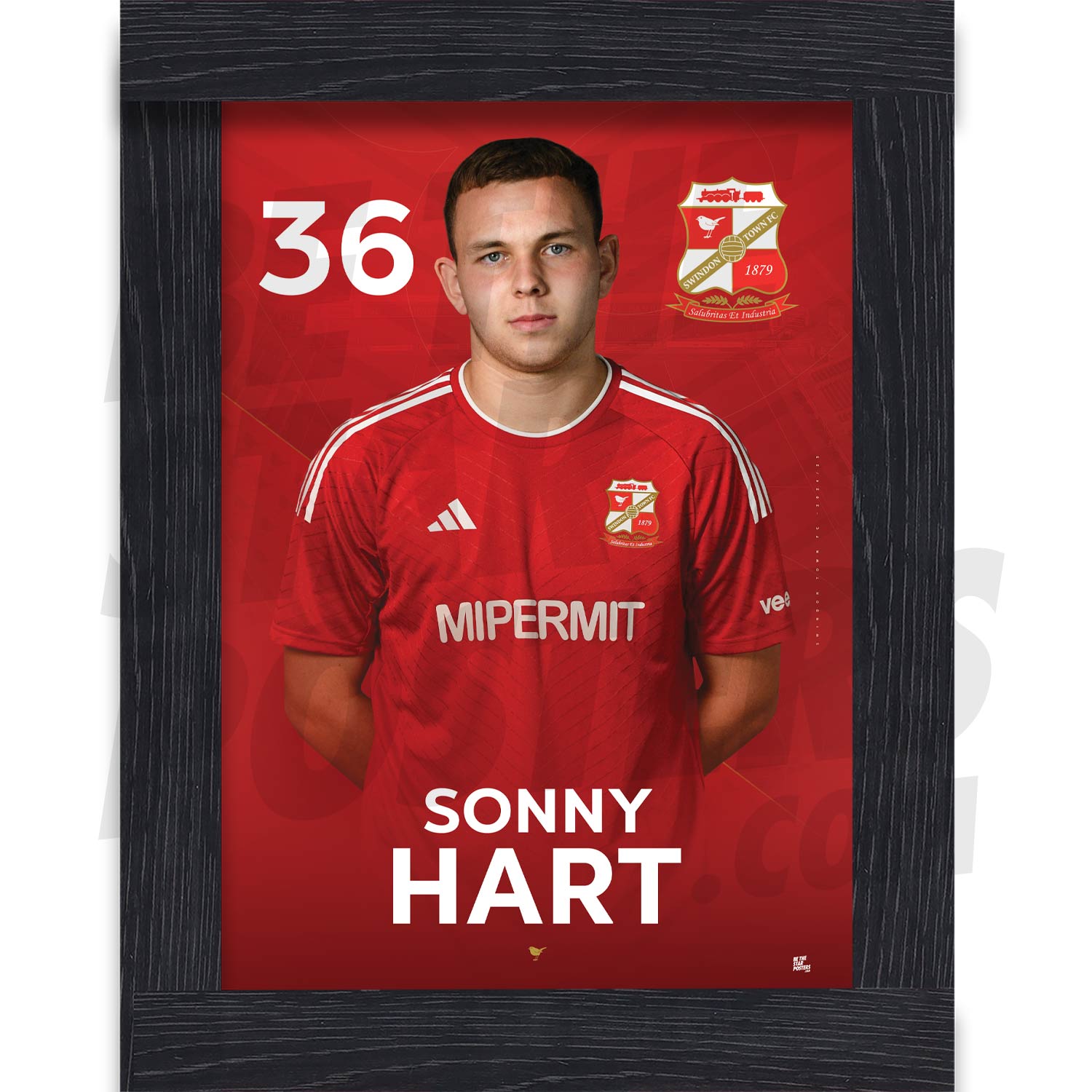 Swindon Town FC Hart 24/25 Headshot Poster