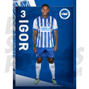 Brighton & Hove Albion FC Igor 24/25 Headshot Poster