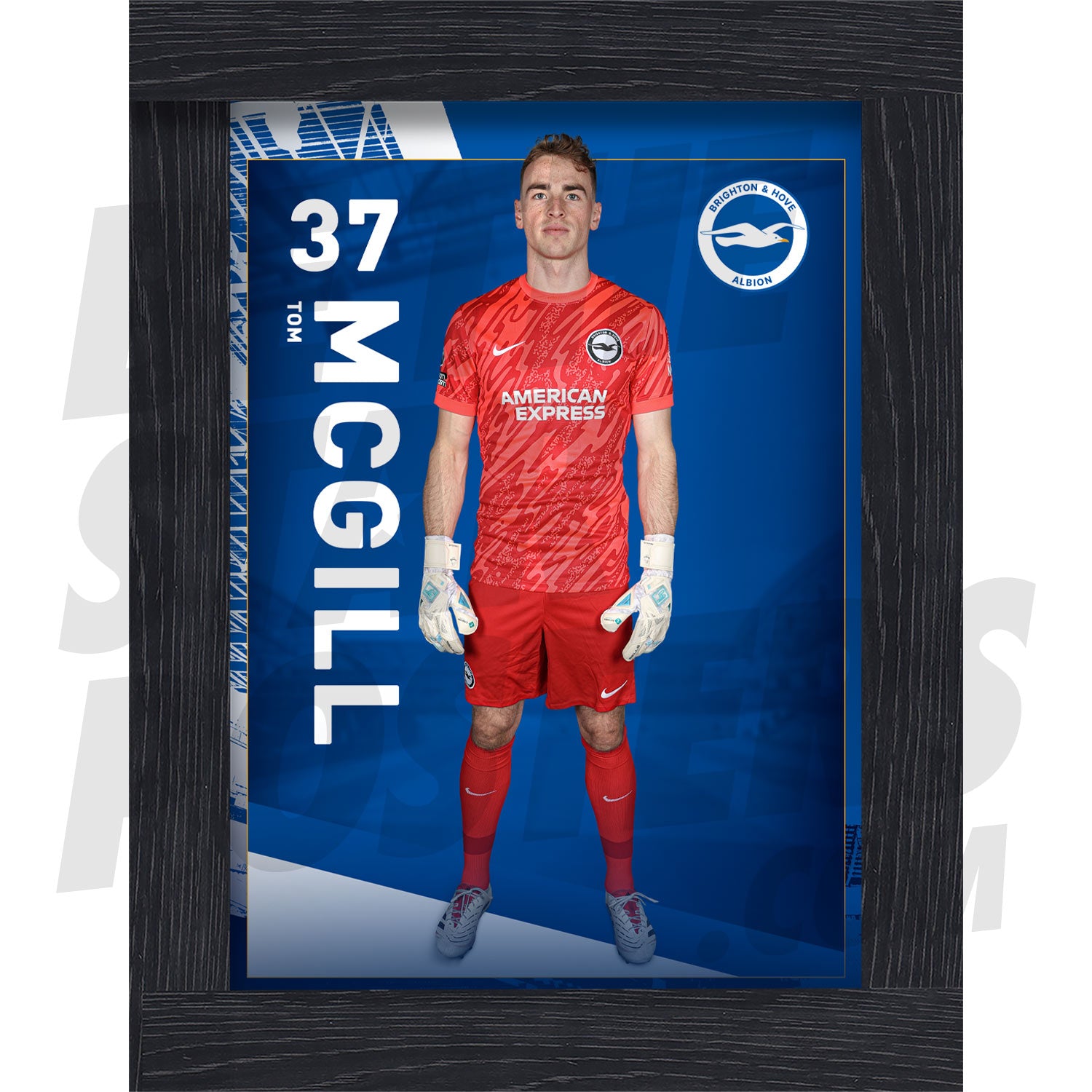 Brighton & Hove Albion FC McGill 24/25 Headshot Poster