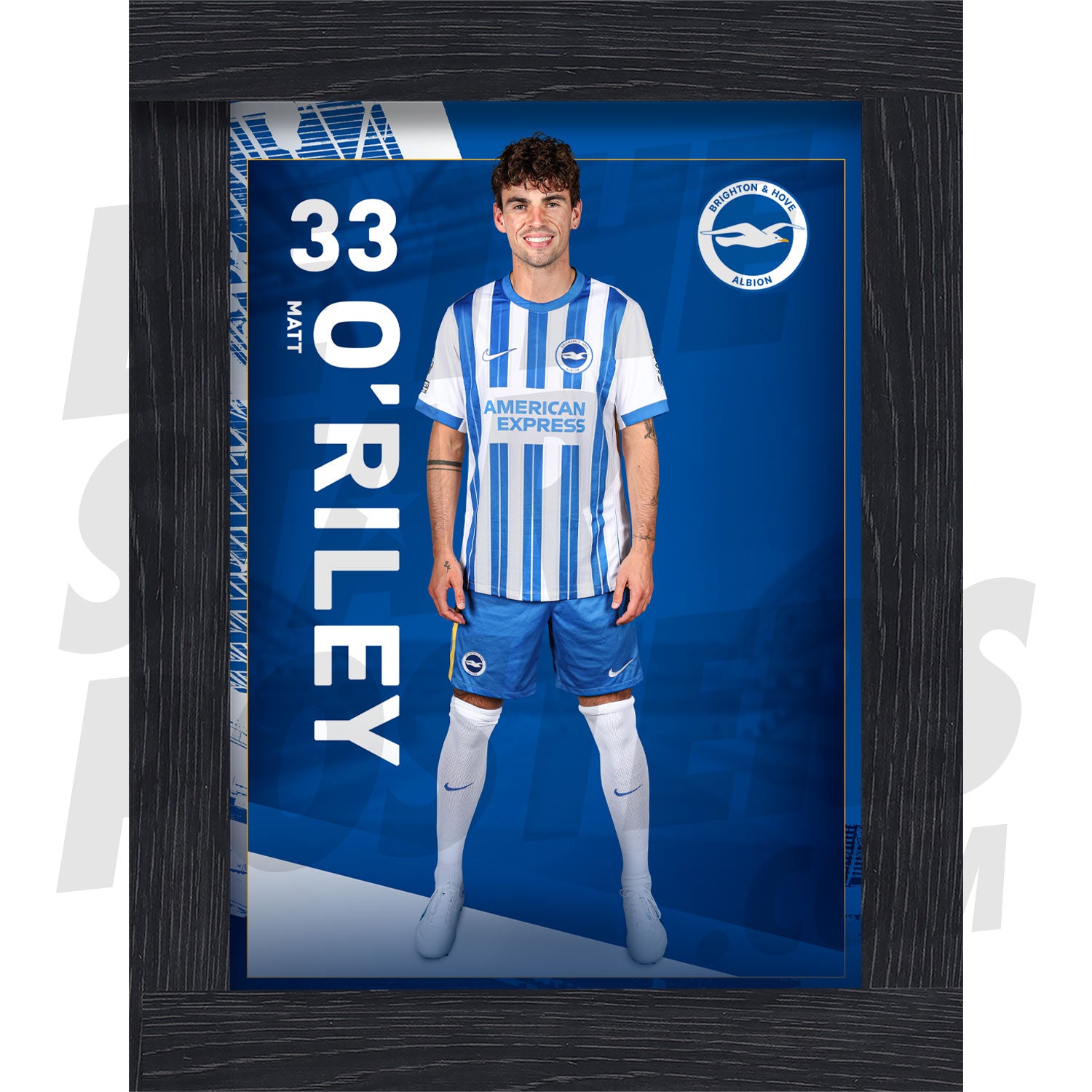 Brighton & Hove Albion FC O'Riley 24/25 Headshot Poster
