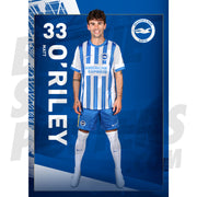 Brighton & Hove Albion FC O'Riley 24/25 Headshot Poster