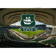 Plymouth Argyle FC Stadium Poster