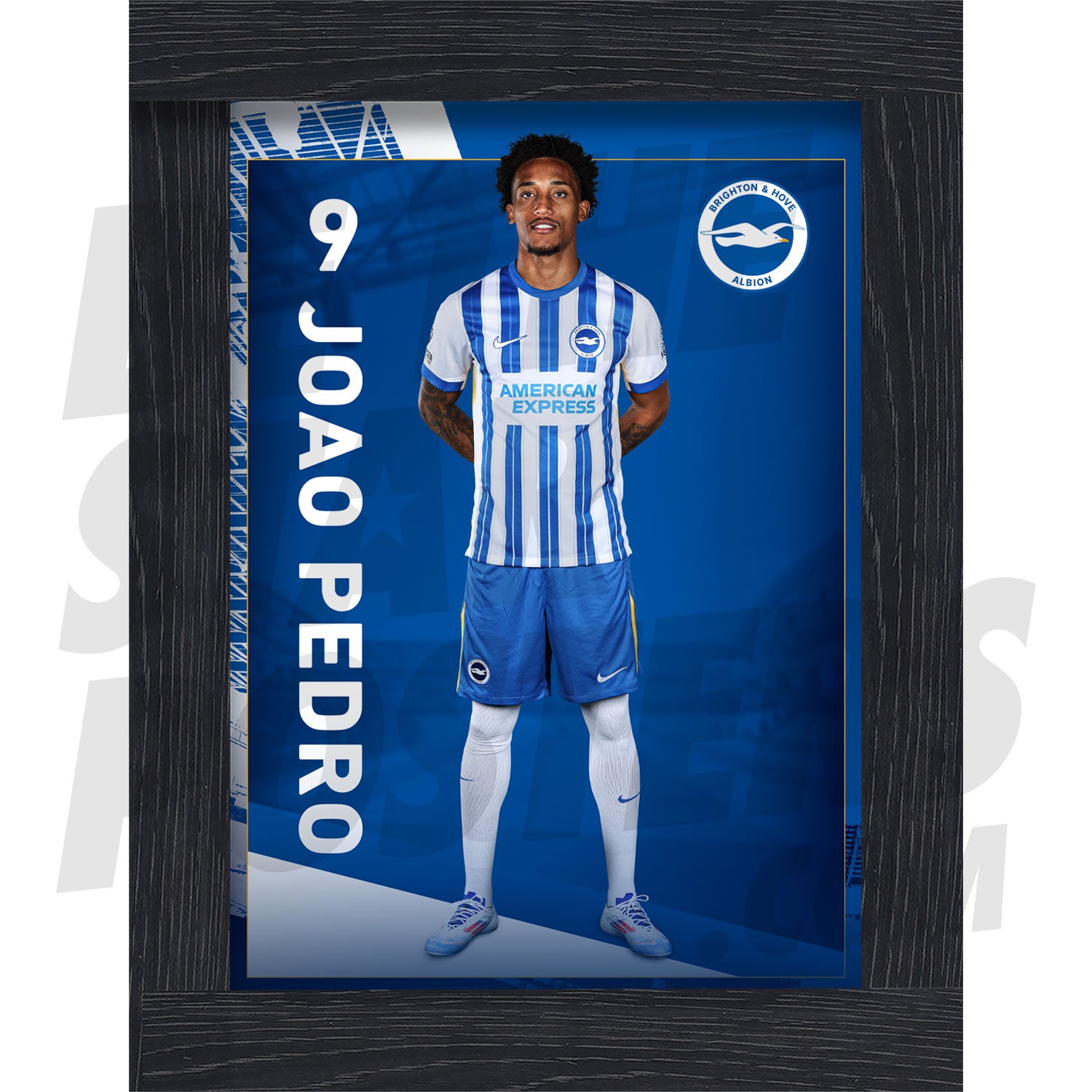 Brighton & Hove Albion FC Joao Pedro 24/25 Headshot Poster