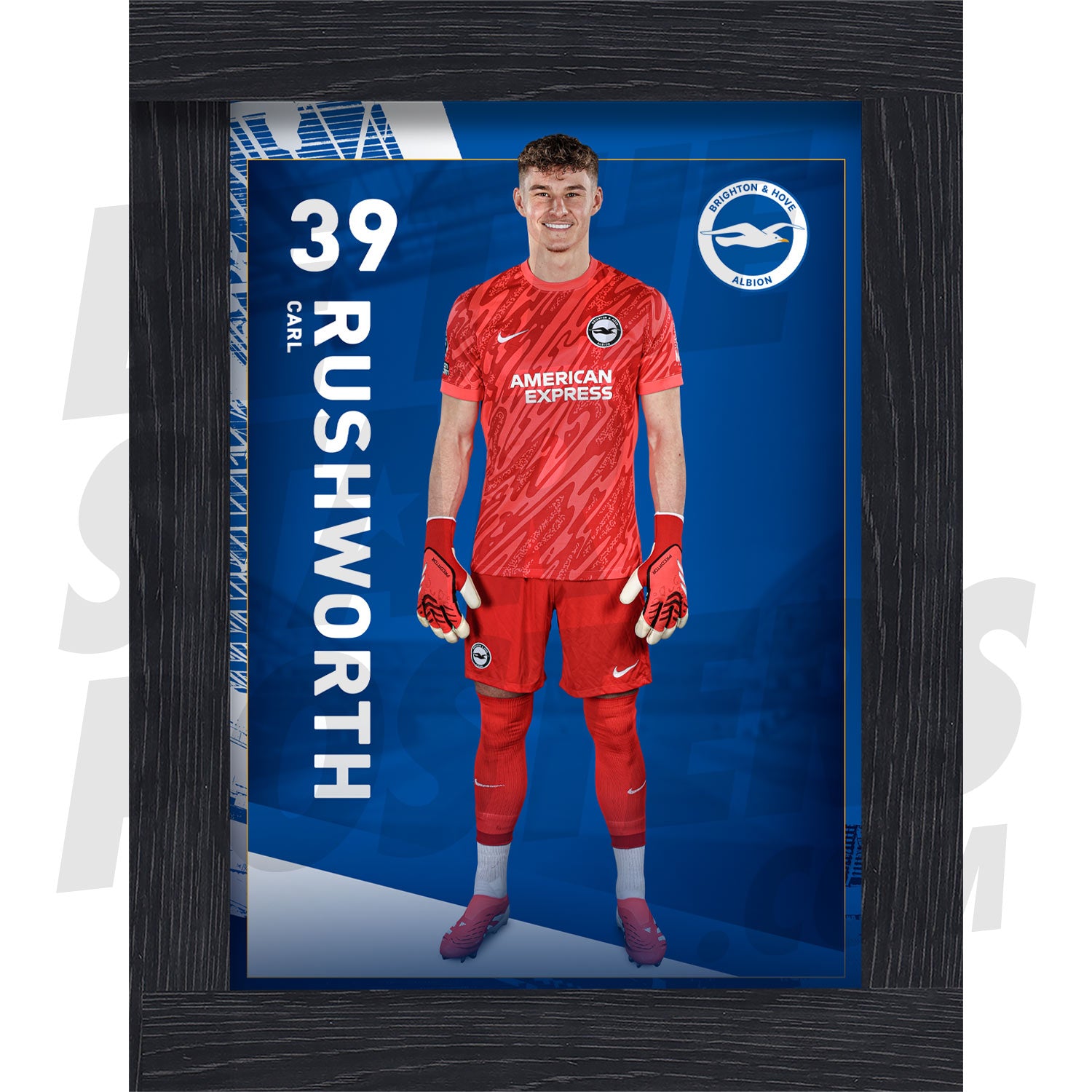 Brighton & Hove Albion FC Rushworth 24/25 Headshot Poster