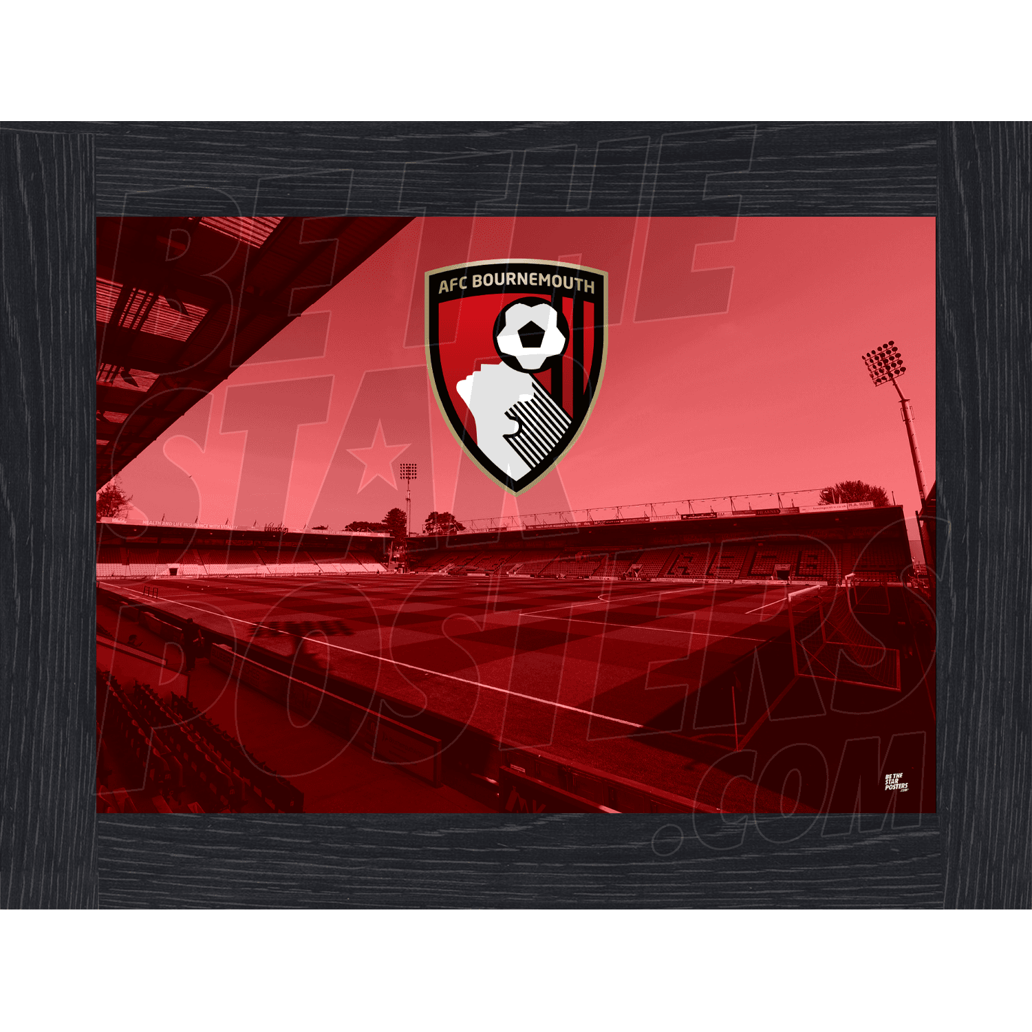 AFC Bournemouth Stadium Poster