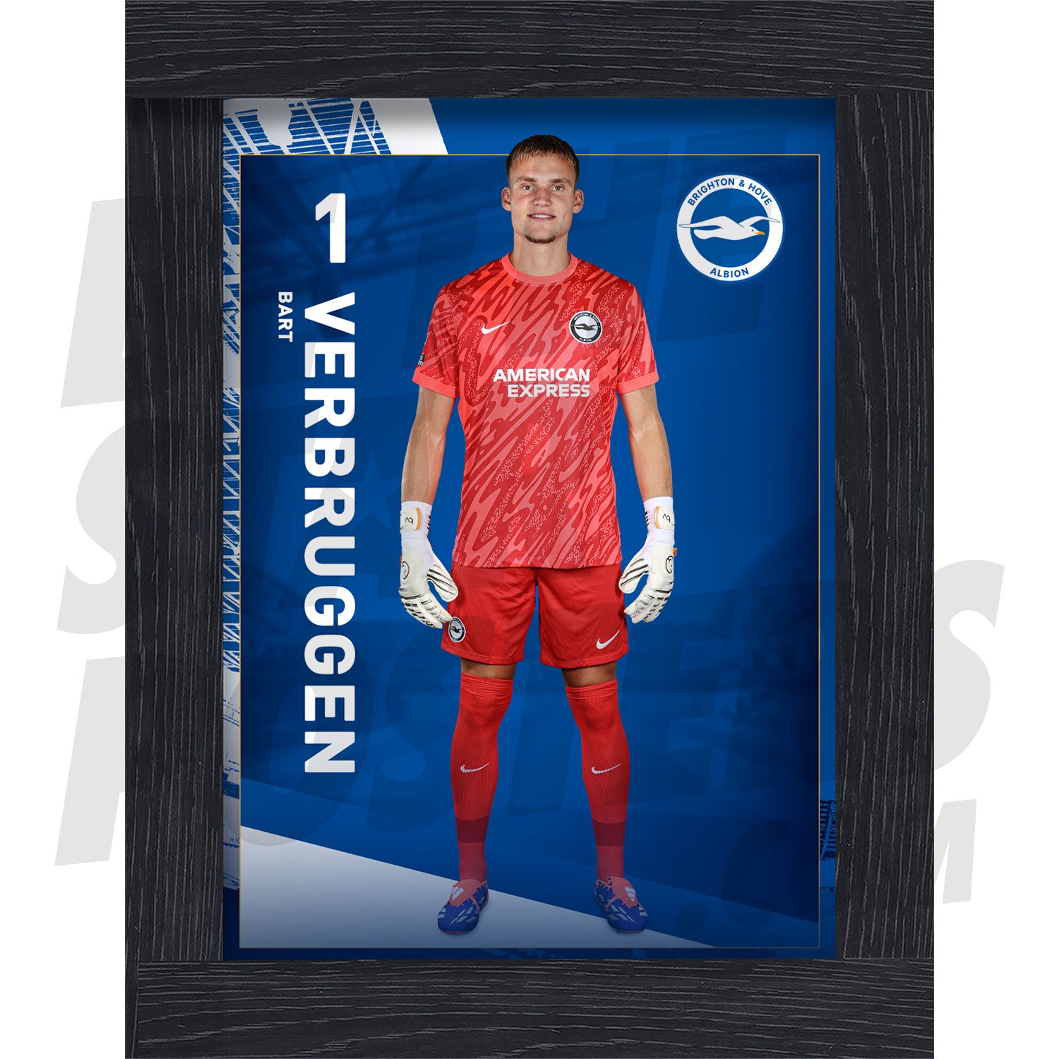 Brighton & Hove Albion FC Verbruggen 24/25 Headshot Poster