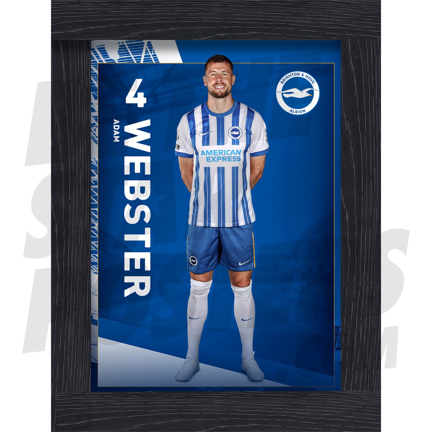 Brighton & Hove Albion FC Webster 24/25 Headshot Poster