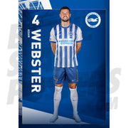 Brighton & Hove Albion FC Webster 24/25 Headshot Poster