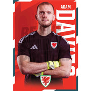Wales Adam Davies 2026 Headshot Poster
