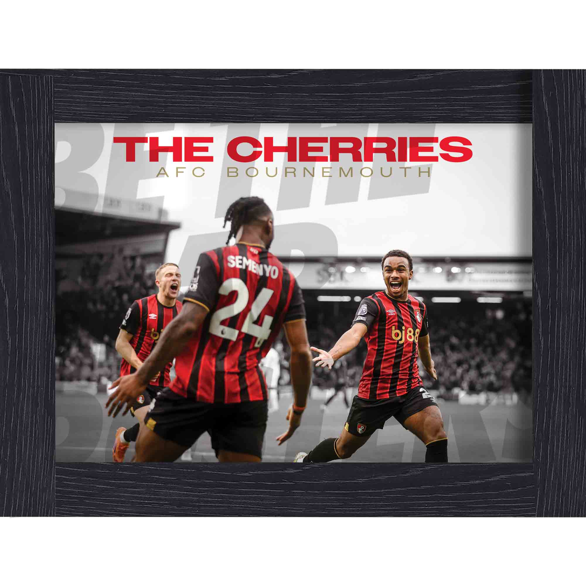 AFC Bournemouth 25/26 Celebration Poster