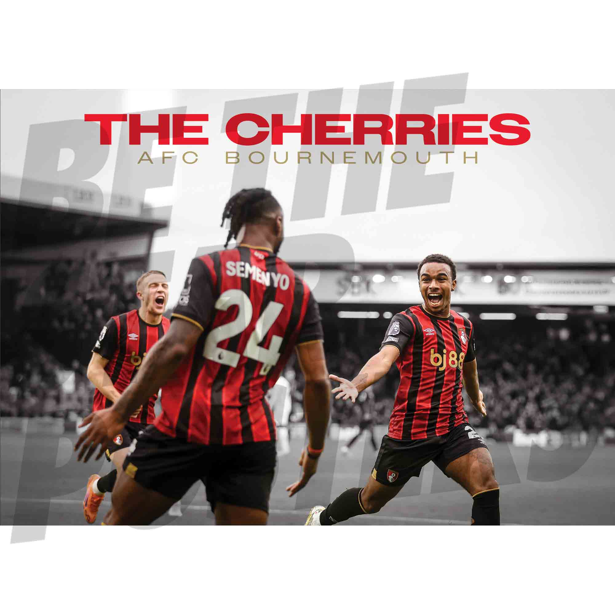 AFC Bournemouth 25/26 Celebration Poster