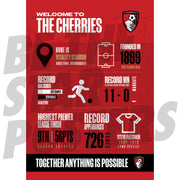 AFC Bournemouth Infographic Poster