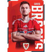 Wales David Brooks 2026 Headshot Poster
