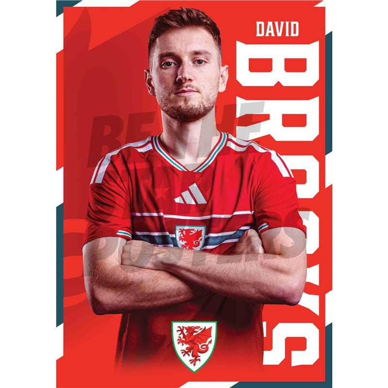 Wales David Brooks 2026 Headshot Poster