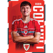 Wales Rubin Colwill 2026 Headshot Poster
