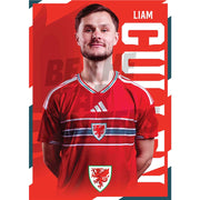 Wales Liam Cullen 2026 Headshot Poster