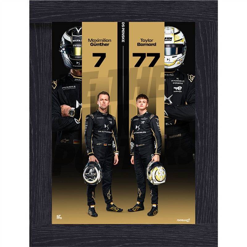 DS Penske Formula E Team Season 12 Poster