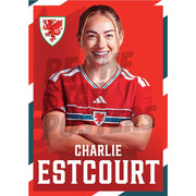 Wales Women Charlie Estcourt 2026 Headshot Poster