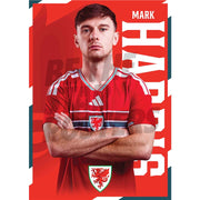 Wales Mark Harris 2026 Headshot Poster