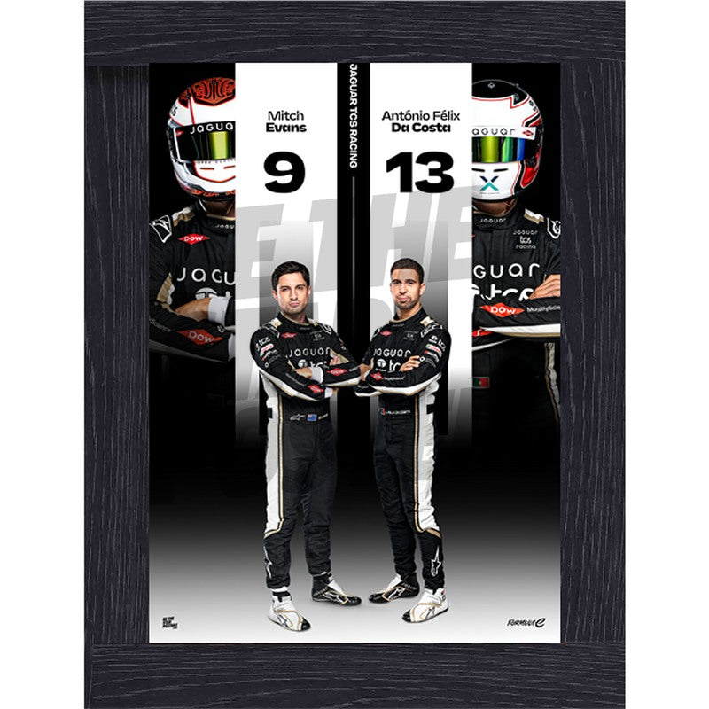 Jaguar Formula E Team Season 12 Poster