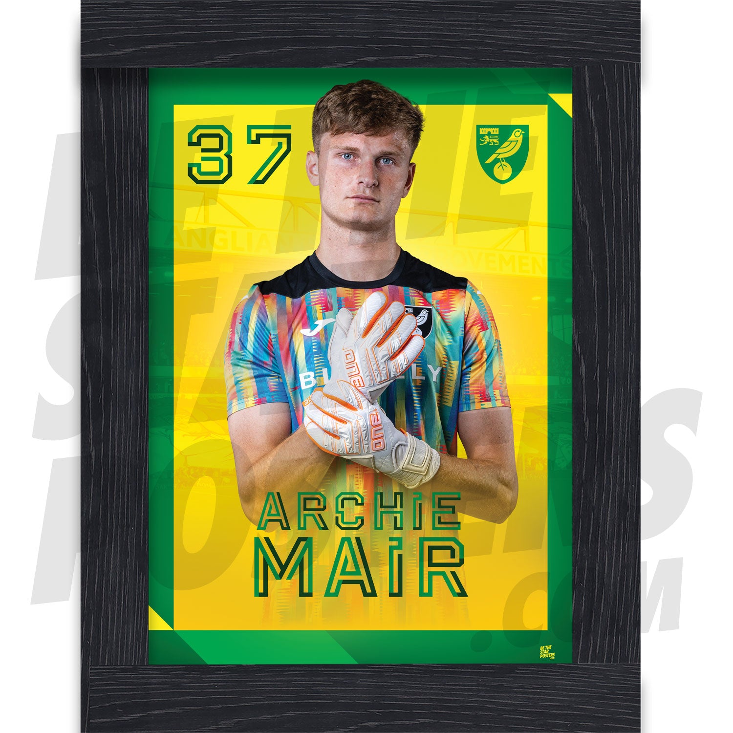 Norwich City FC Mair 24/25 Headshot Poster