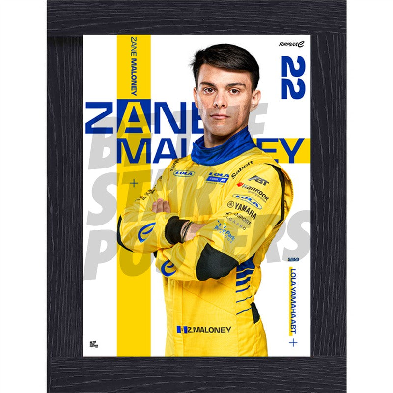 Zane Maloney Formula E Lola Yamaha ABT Season 12 Poster