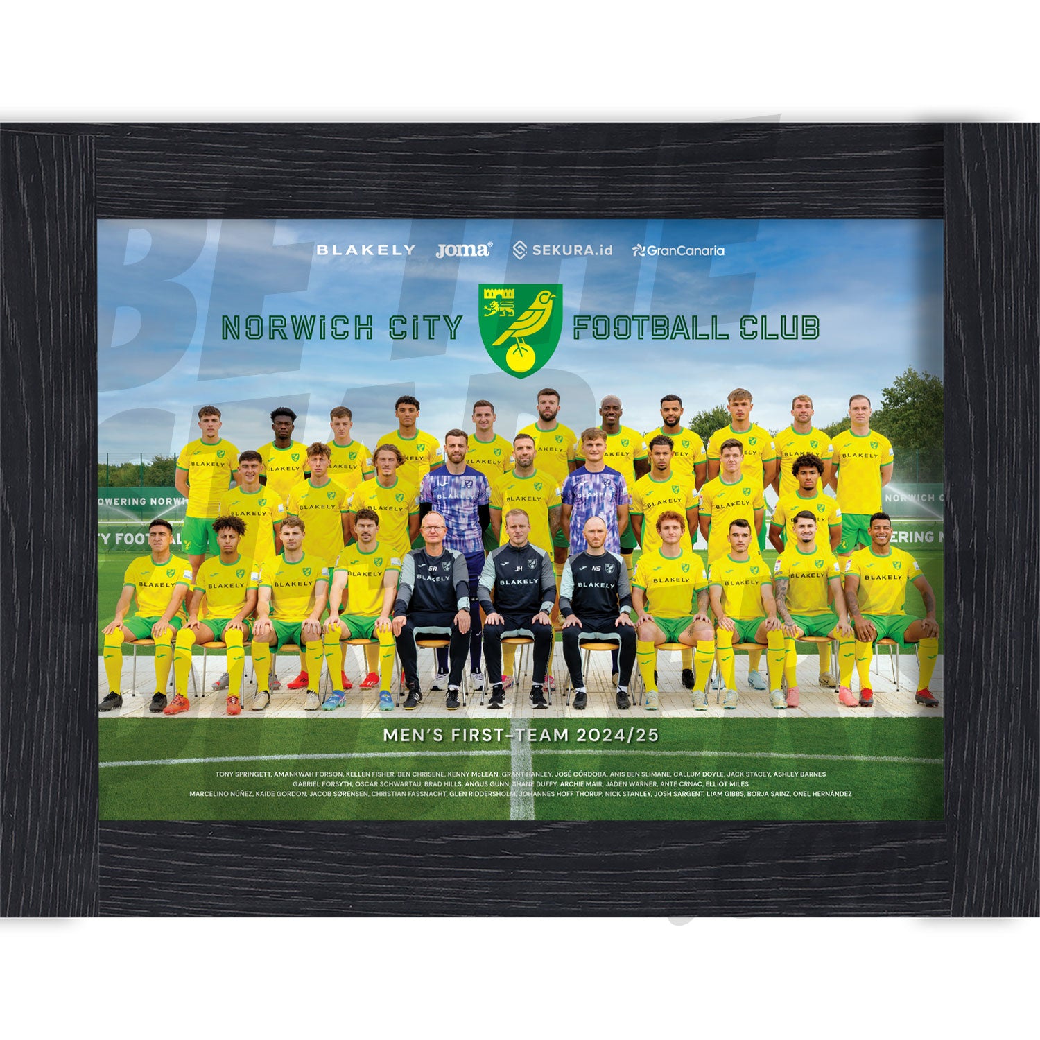 Norwich City FC Men's 24/25 Squad Team Poster