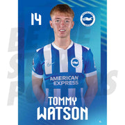 Brighton & Hove Albion FC Tommy Watson 25/26 Headshot Poster