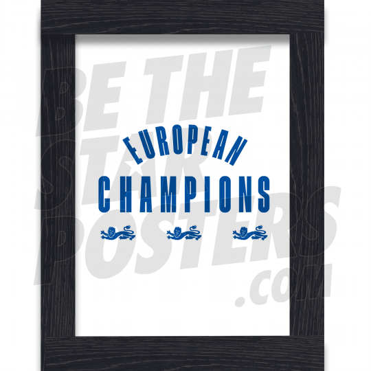 European Champions Lions Framed Poster White A4