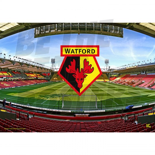 Vicarage Road Watford FC 20/21 A2/A3