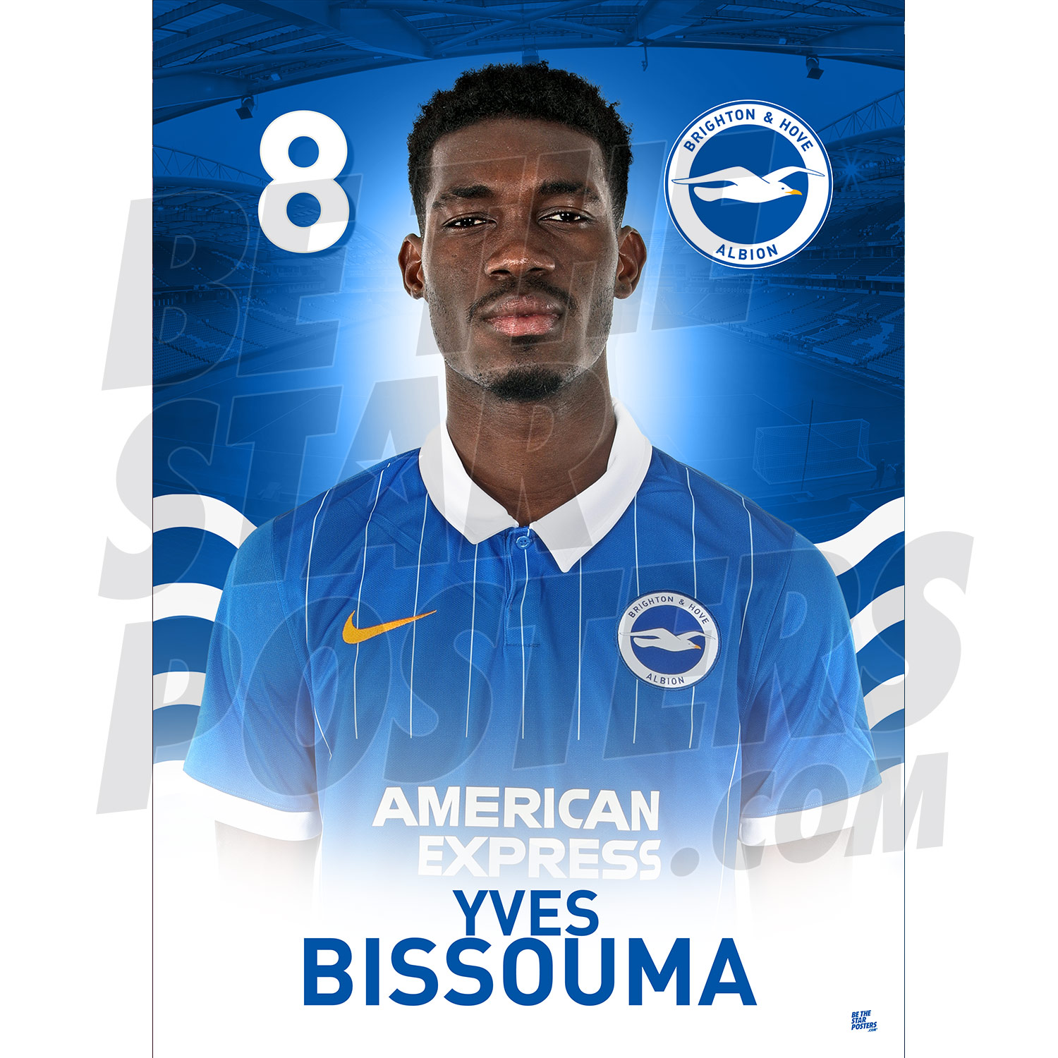 brighton fc jersey
