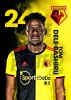 Watford FC A3 Dele 19/20 Player Poster