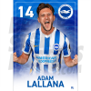 Lallana BHAFC Headshot Poster A4 21/22